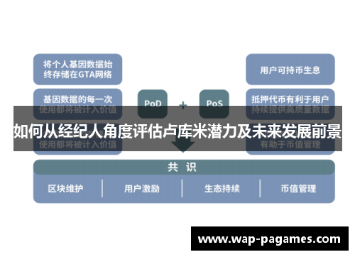 如何从经纪人角度评估卢库米潜力及未来发展前景 如何从经纪人角度评估卢库米潜力及未来发展前景