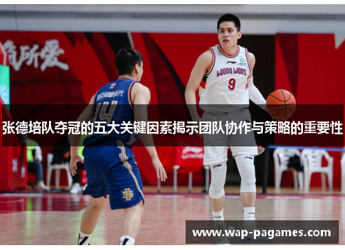 张德培队夺冠的五大关键因素揭示团队协作与策略的重要性 张德培队夺冠的五大关键因素揭示团队协作与策略的重要性