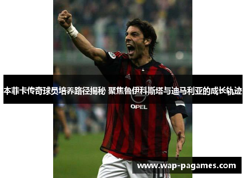 本菲卡传奇球员培养路径揭秘 聚焦鲁伊科斯塔与迪马利亚的成长轨迹 本菲卡传奇球员培养路径揭秘 聚焦鲁伊科斯塔与迪马利亚的成长轨迹