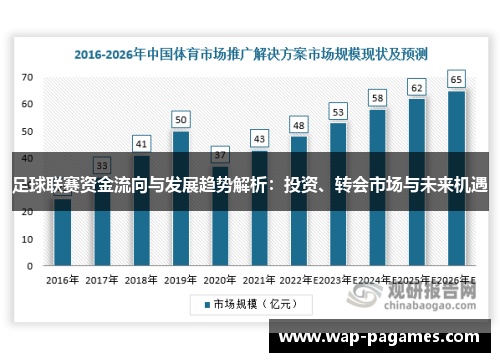 足球联赛资金流向与发展趋势解析：投资、转会市场与未来机遇