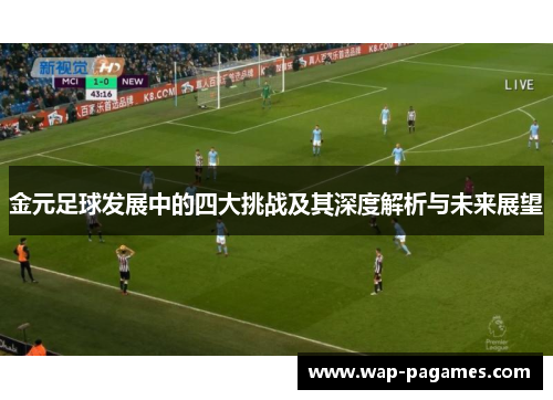 金元足球发展中的四大挑战及其深度解析与未来展望