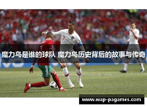 魔力鸟是谁的球队 魔力鸟历史背后的故事与传奇
