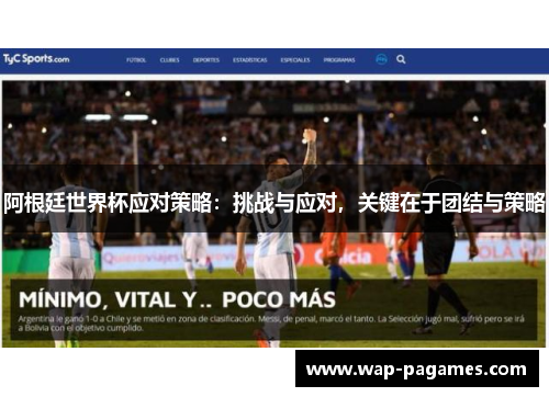 阿根廷世界杯应对策略：挑战与应对，关键在于团结与策略