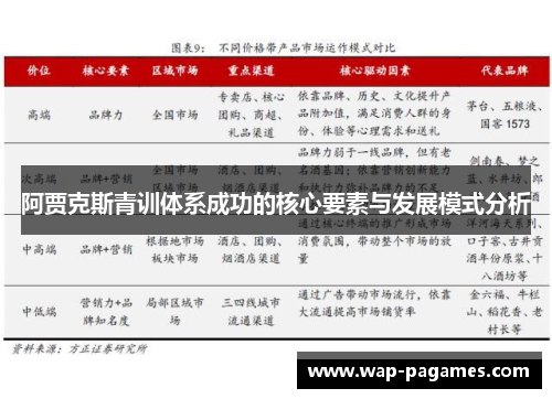 阿贾克斯青训体系成功的核心要素与发展模式分析