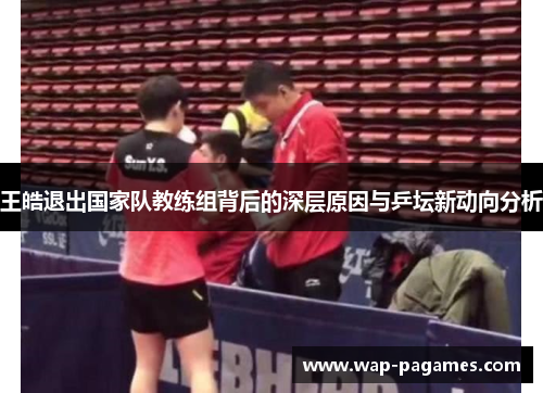 王皓退出国家队教练组背后的深层原因与乒坛新动向分析