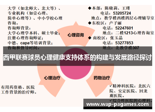 西甲联赛球员心理健康支持体系的构建与发展路径探讨 西甲联赛球员心理健康支持体系的构建与发展路径探讨