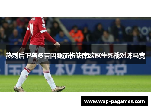 热刺后卫乌多吉因腿筋伤缺席欧冠生死战对阵马竞